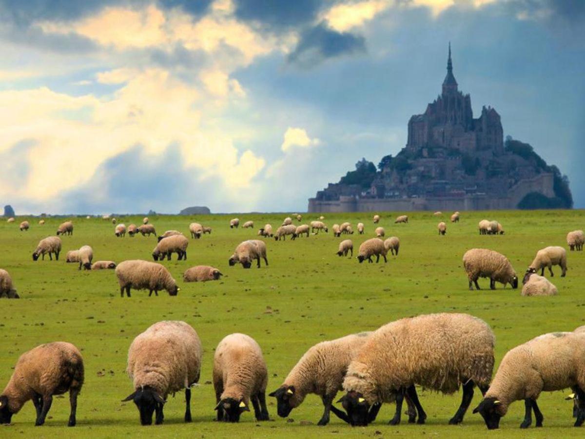 Gite Timeo Mont Saint-Michel Pontorson Exterior photo